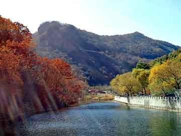 澳门二四六天天彩图库，都市重生类小说